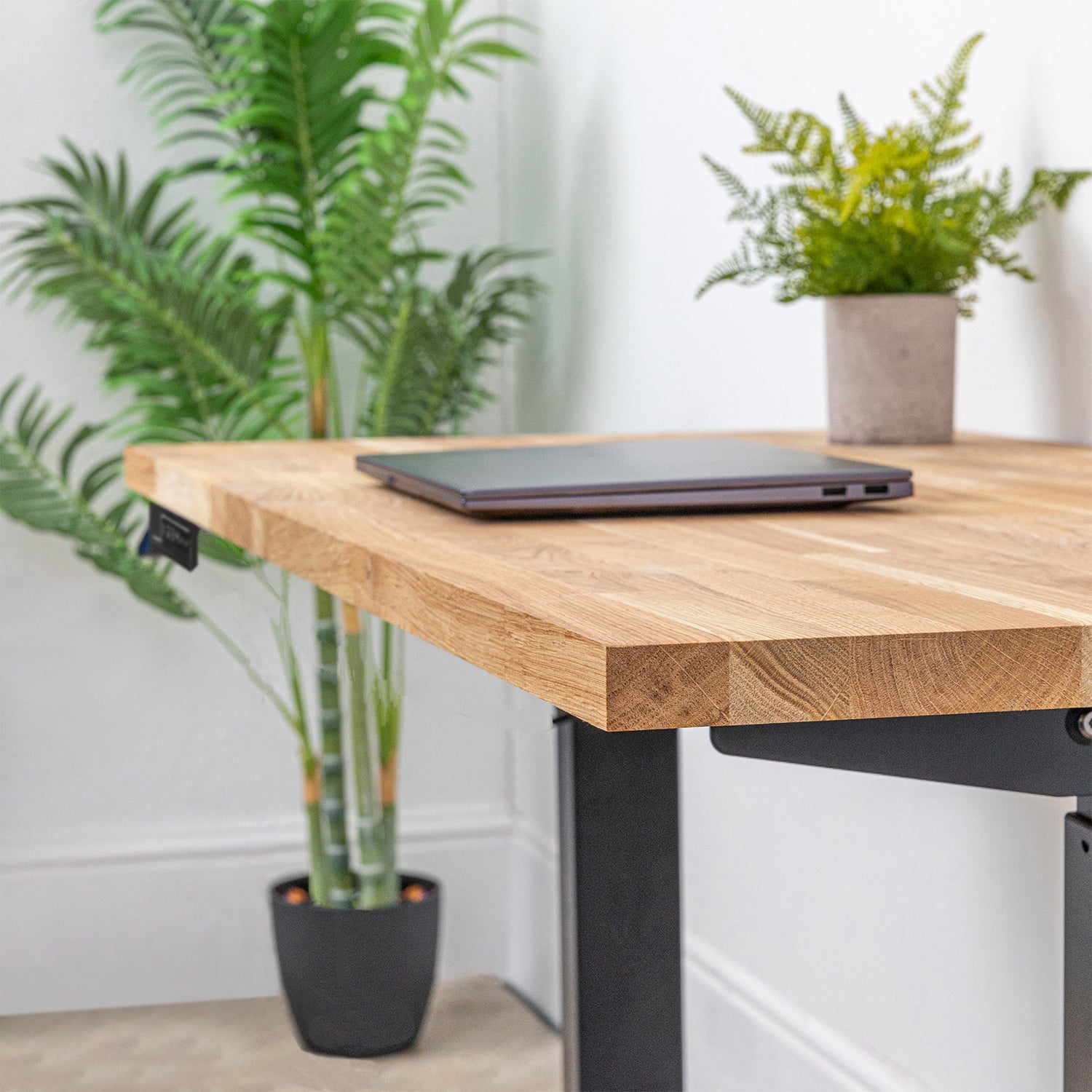 Black Metal Frame Sit Stand Desk with Oak Wooden Desktop