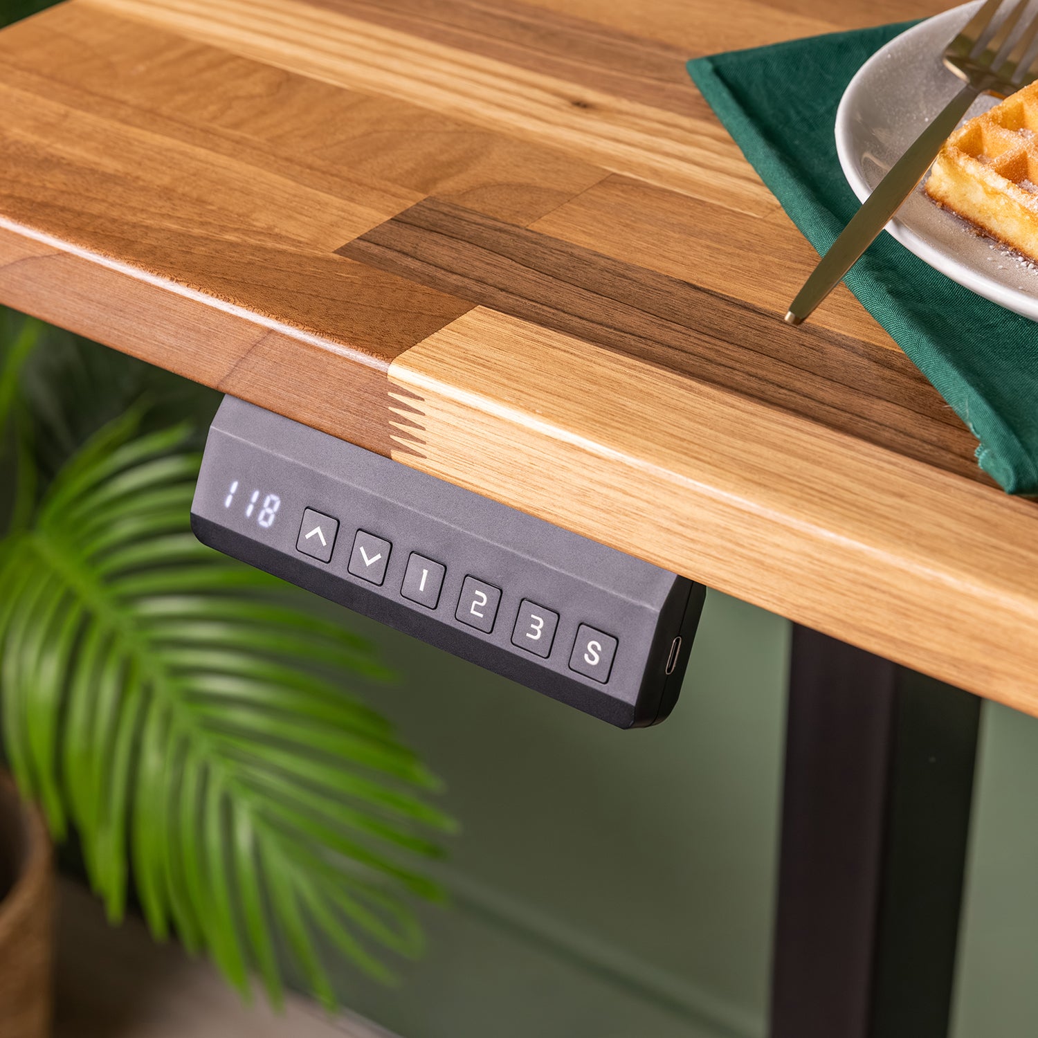 Dual Motor d2 Black Standing Desk with Walnut Solid Wood Desktop