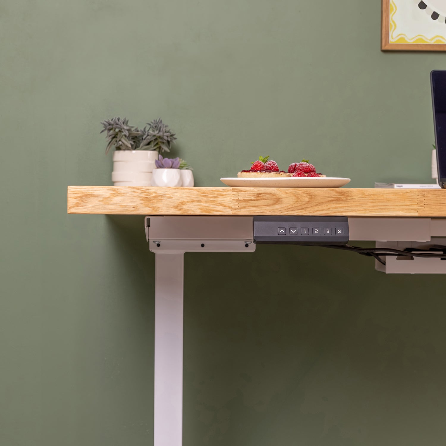 Dual Motor d2 White Standing Desk with Oak Solid Wood Desktop