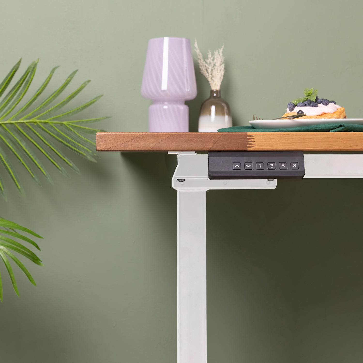 Dual Motor d2 White Standing Desk with Walnut Solid Wood Desktop