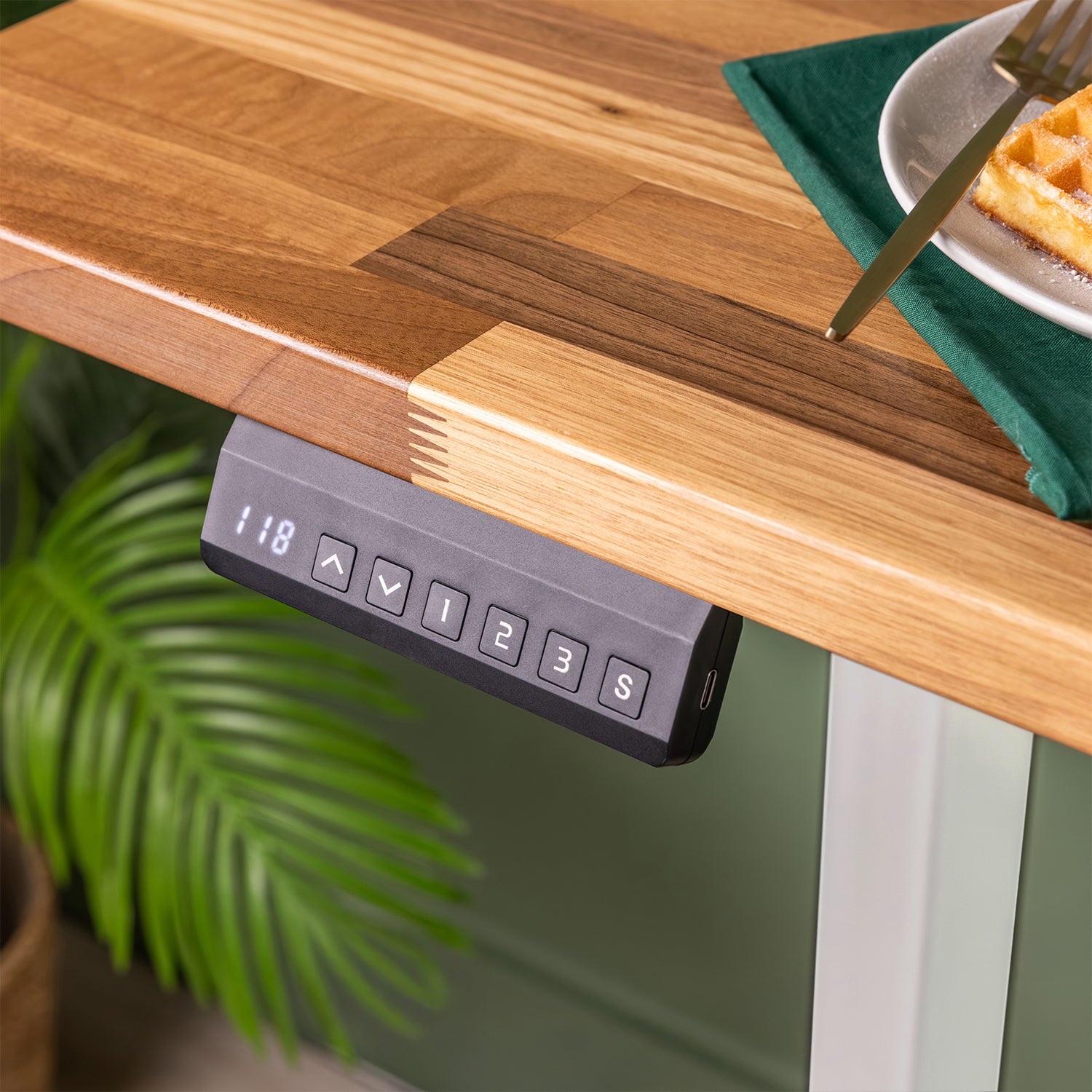 Dual Motor d2 White Standing Desk with Walnut Solid Wood Desktop