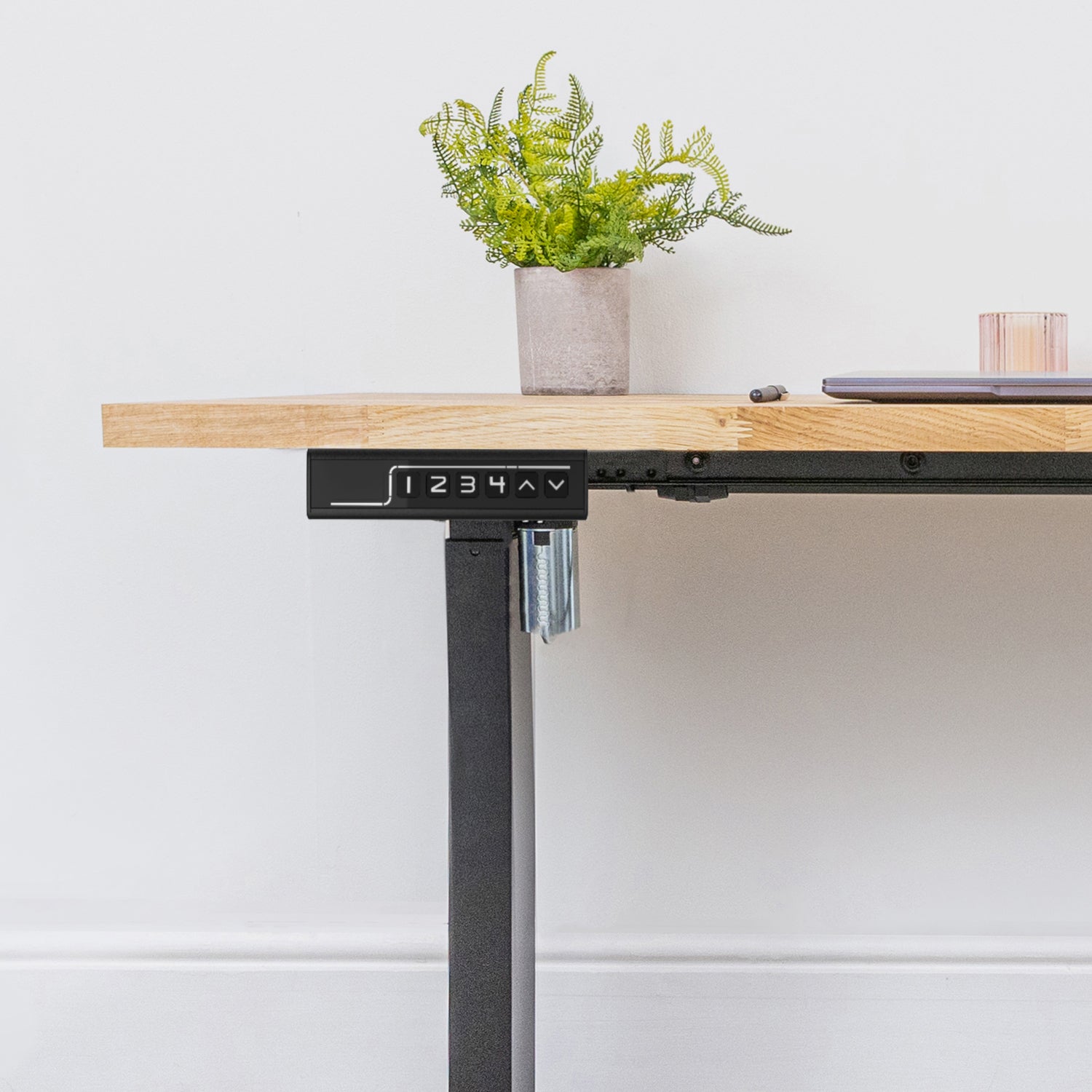 Electric Height Adjustable Standing Desk with Oak Solid Wood Desktop - d1