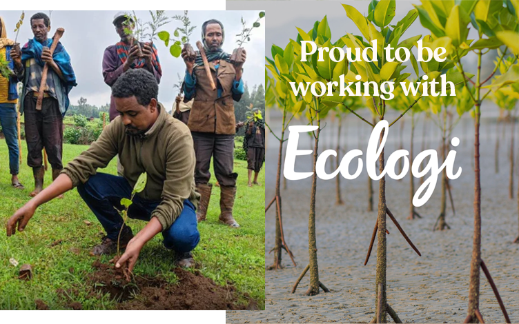Image showing domli’s commitment through its partnership with Ecologi.