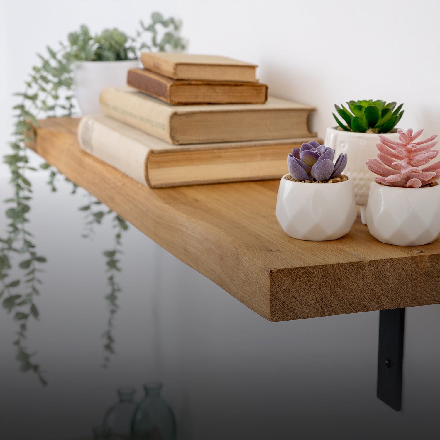 Oak live edge wooden shelf on black flat-style brackets with books and potted plants on a neutral background