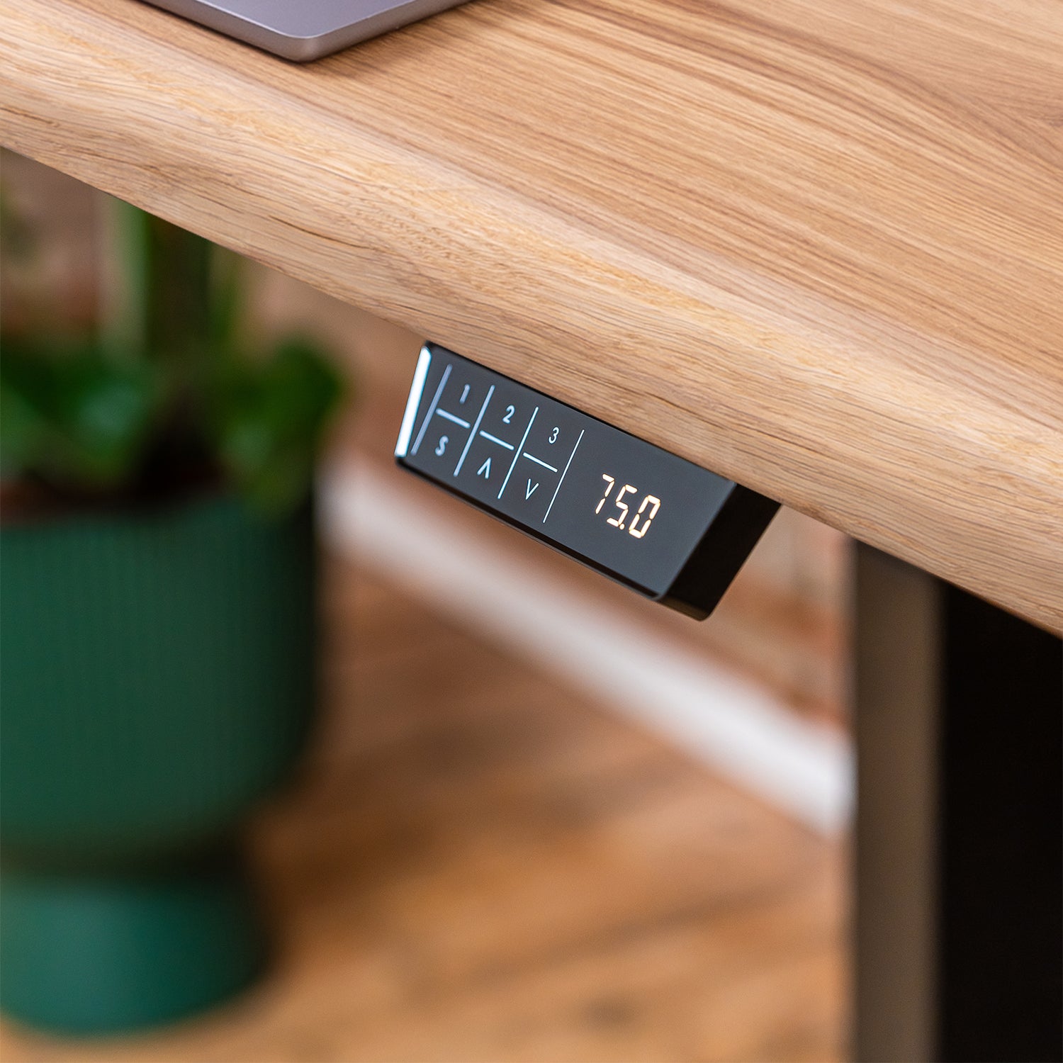 Premium Black Sit Stand Electric Desk with Oak Live Edge Wooden Desktop