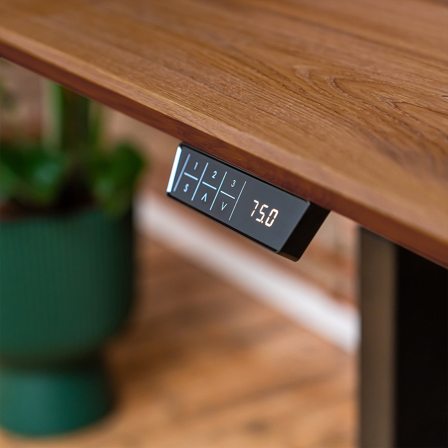 Premium d3 Dual Motor Black Standing Desk with Premium Oak Solid Wood Desktop - Antique Bronze