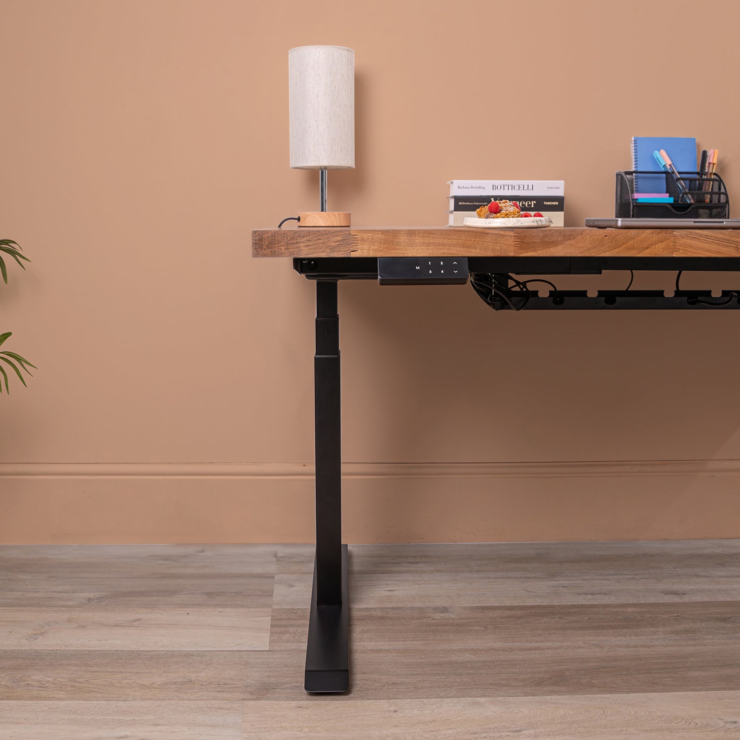 Premium d3 Dual Motor Black Standing Desk with Walnut Solid Wood Desktop - 40mm thick desktop