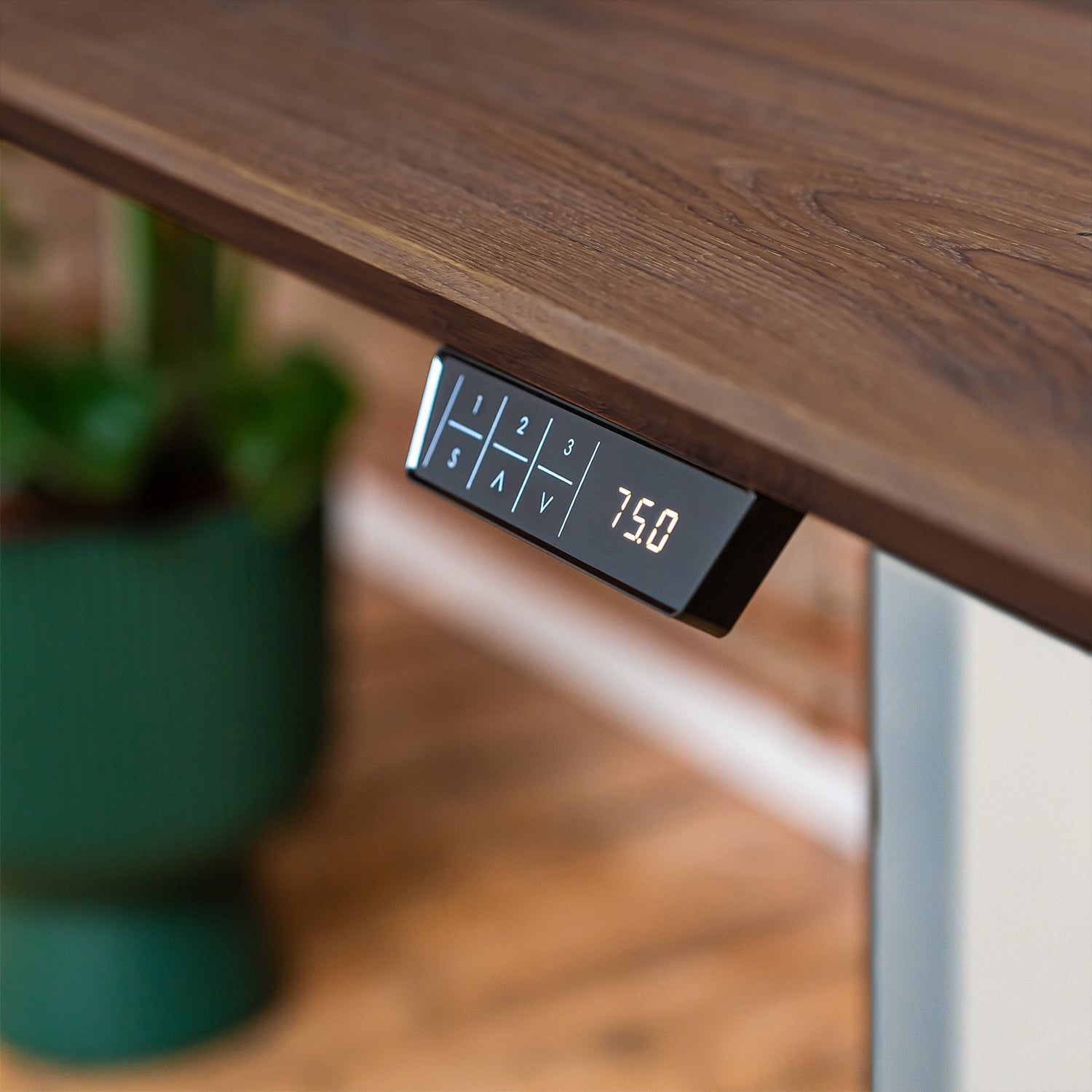 Premium d3 Dual Motor White Standing Desk with Premium Oak Solid Wood Desktop - Charcoal