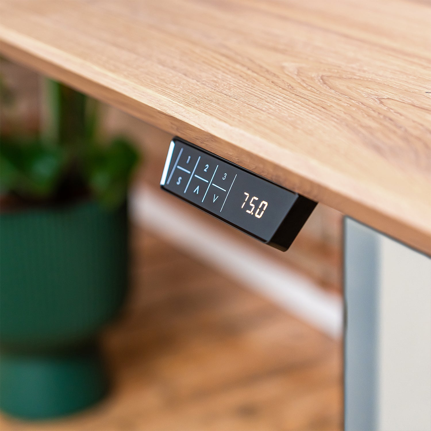 Premium d3 Dual Motor White Standing Desk with Premium Oak Solid Wood Desktop - Natural Oak