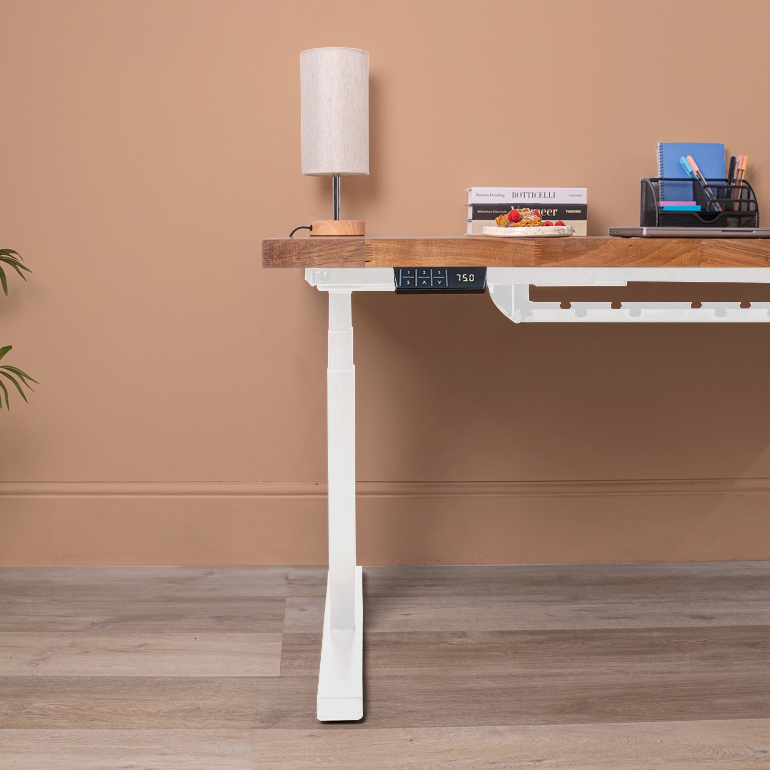 Premium d3 Dual Motor White Standing Desk with Walnut Solid Wood Desktop - 40mm thick desktop