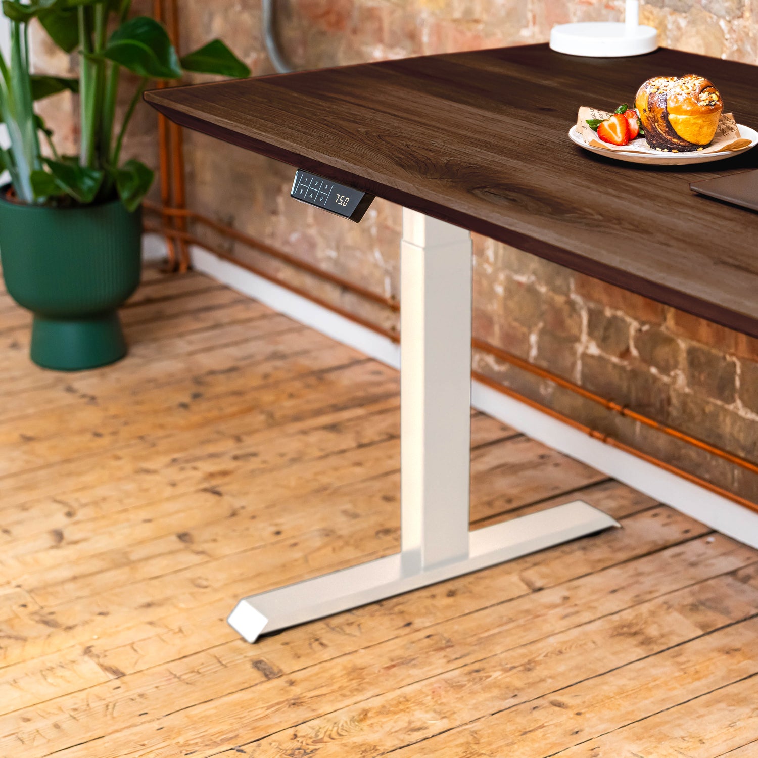 Premium d3 Dual Motor White Standing Desk with Premium Oak Solid Wood Desktop - Charcoal