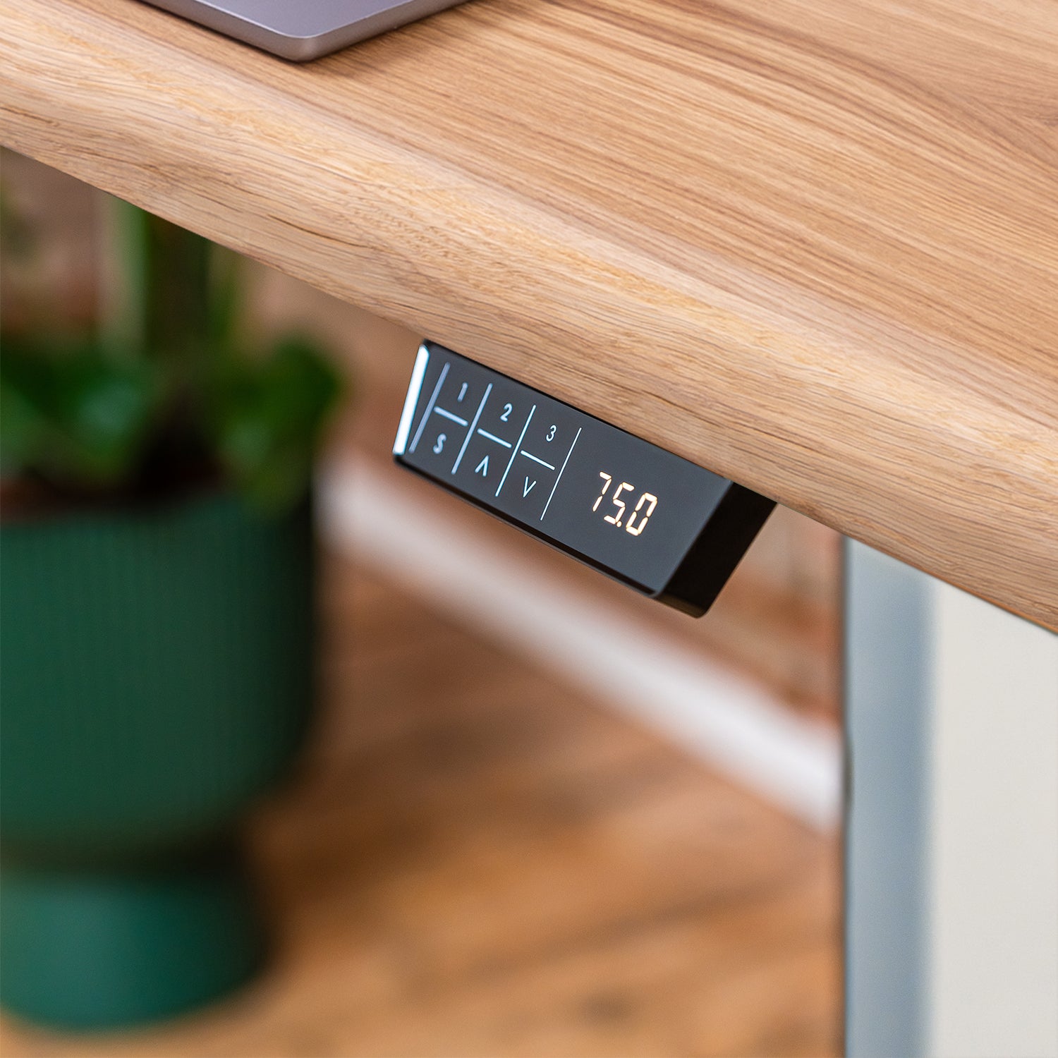 Premium White Sit Stand Electric Desk with Oak Live Edge Wooden Desktop
