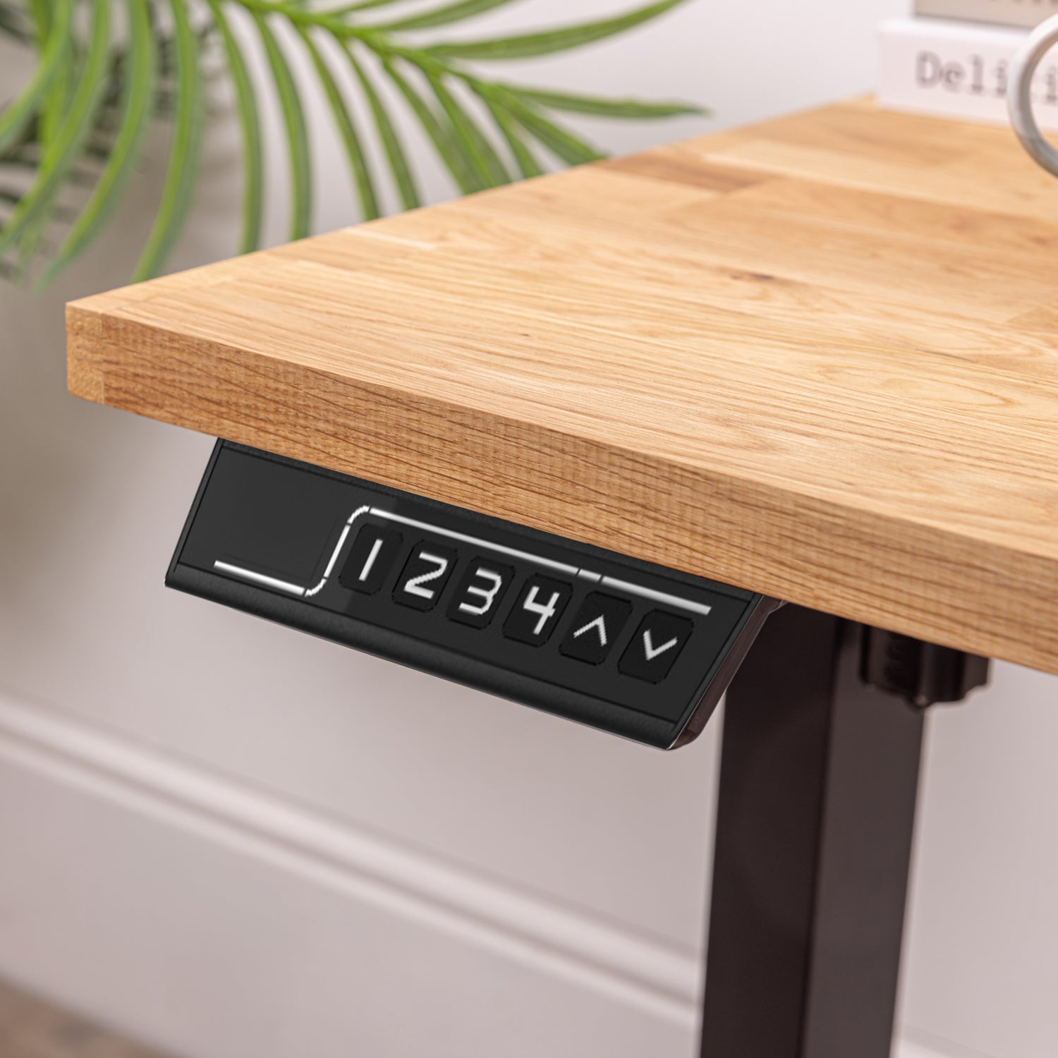 Small Sit Stand Office Desk with Oak Wooden Desktop