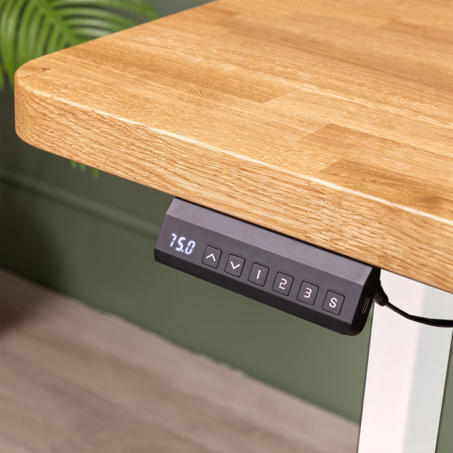 White Sit Stand Electric Desk with Prime Oak Wooden Desktop