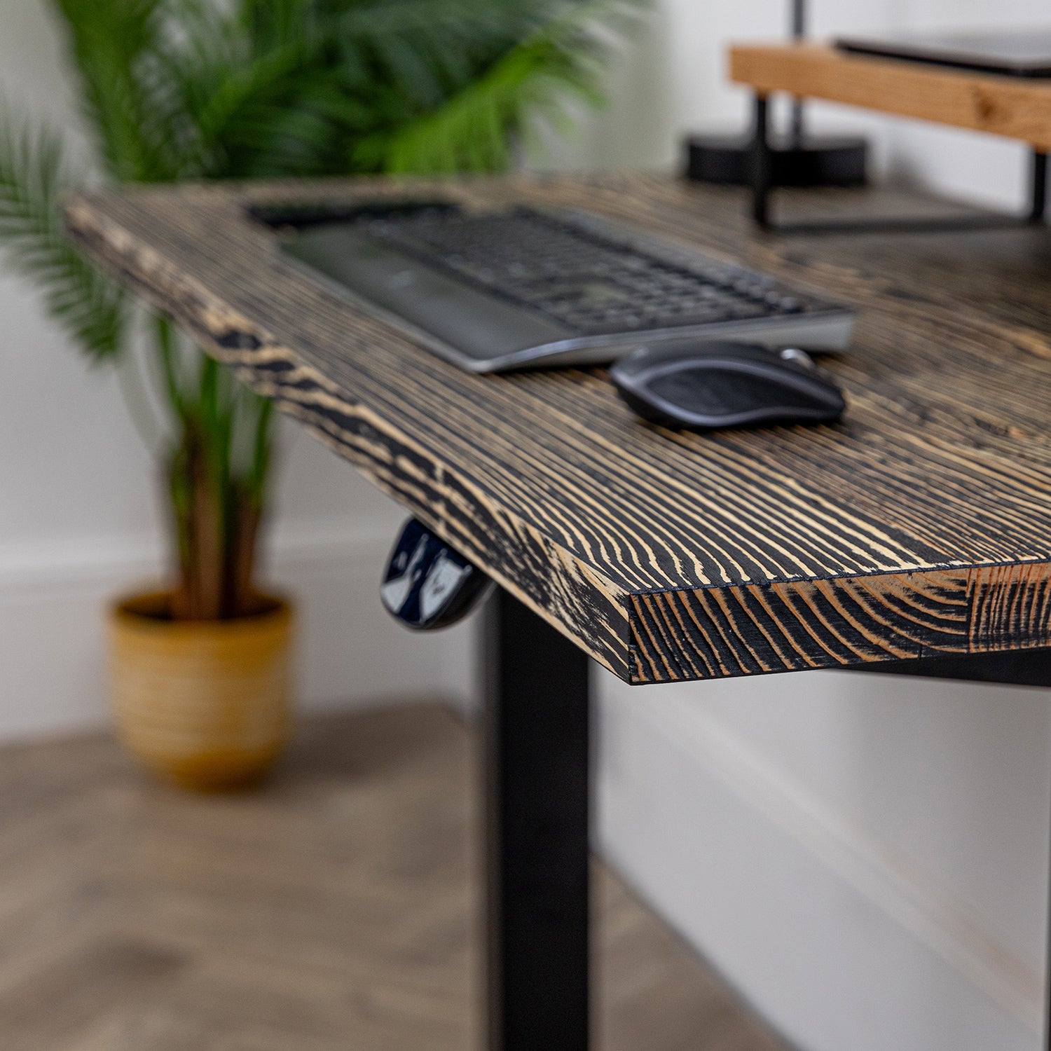 Black Wooden Sit Stand Desk with Solid Oak Desk Shelf / Riser