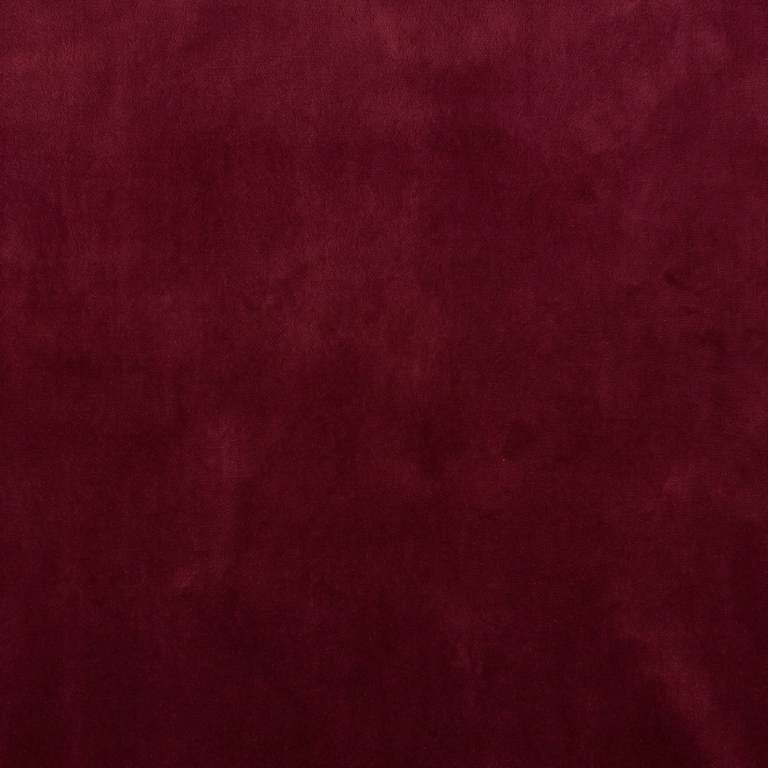 A curved velvet dining chair with a calm, sculptural feel