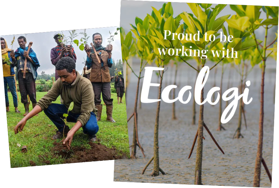 Image showing domli’s commitment through its partnership with Ecologi.