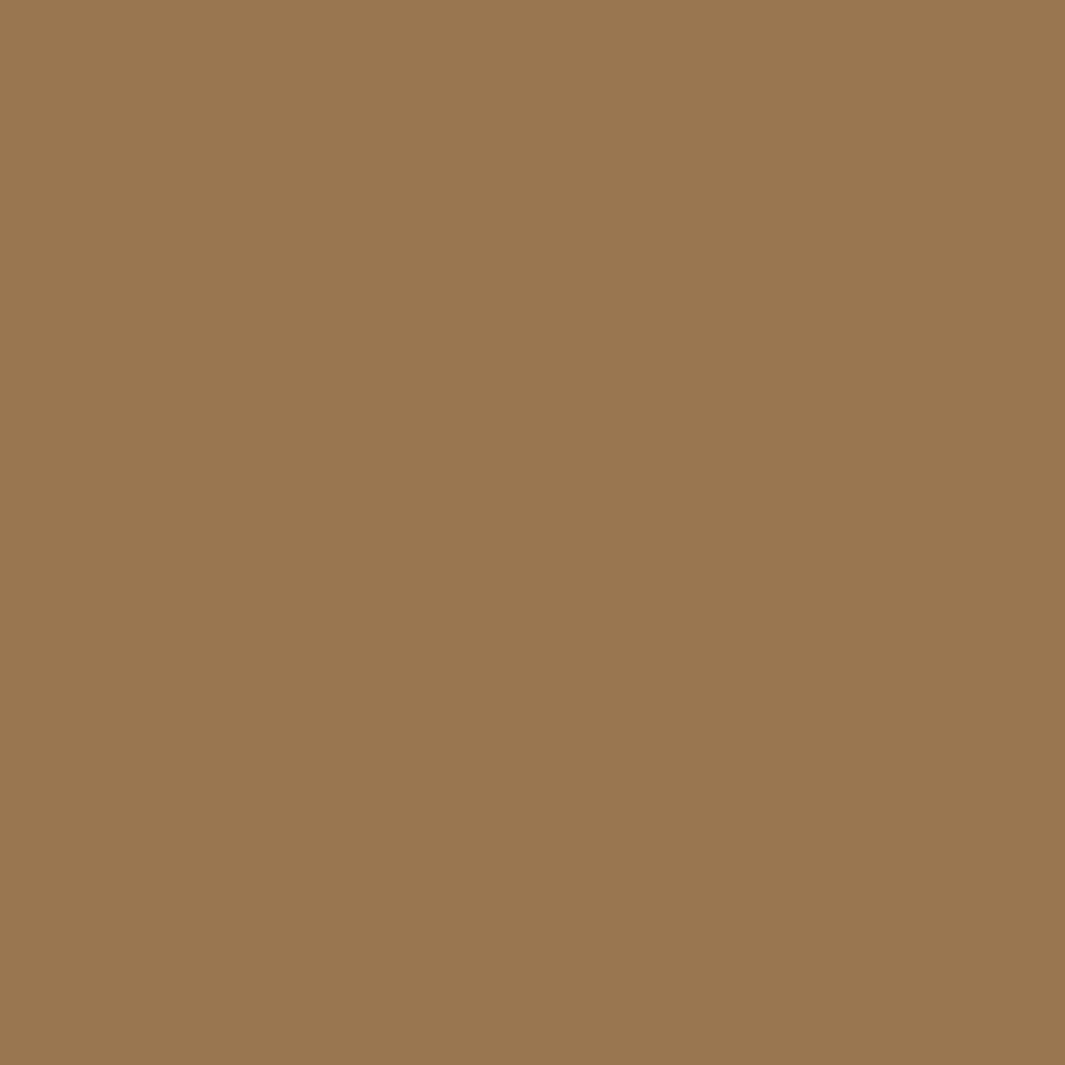 Oak Wood Surface Filler - 250g | Mid Oak 73012