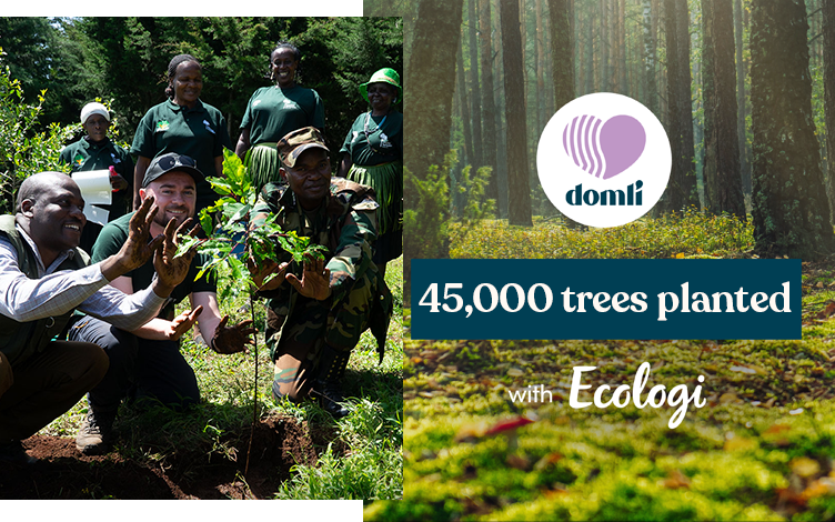 Graphic showing domli has funded the planting of over 45,000 trees.