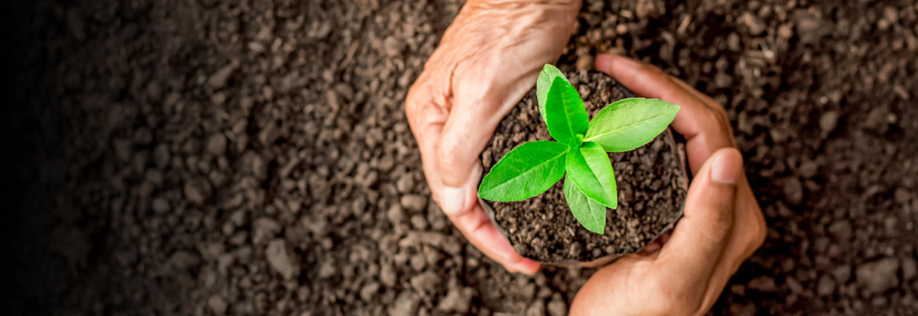 Here at domli, we’re kind by nature and kind to nature.