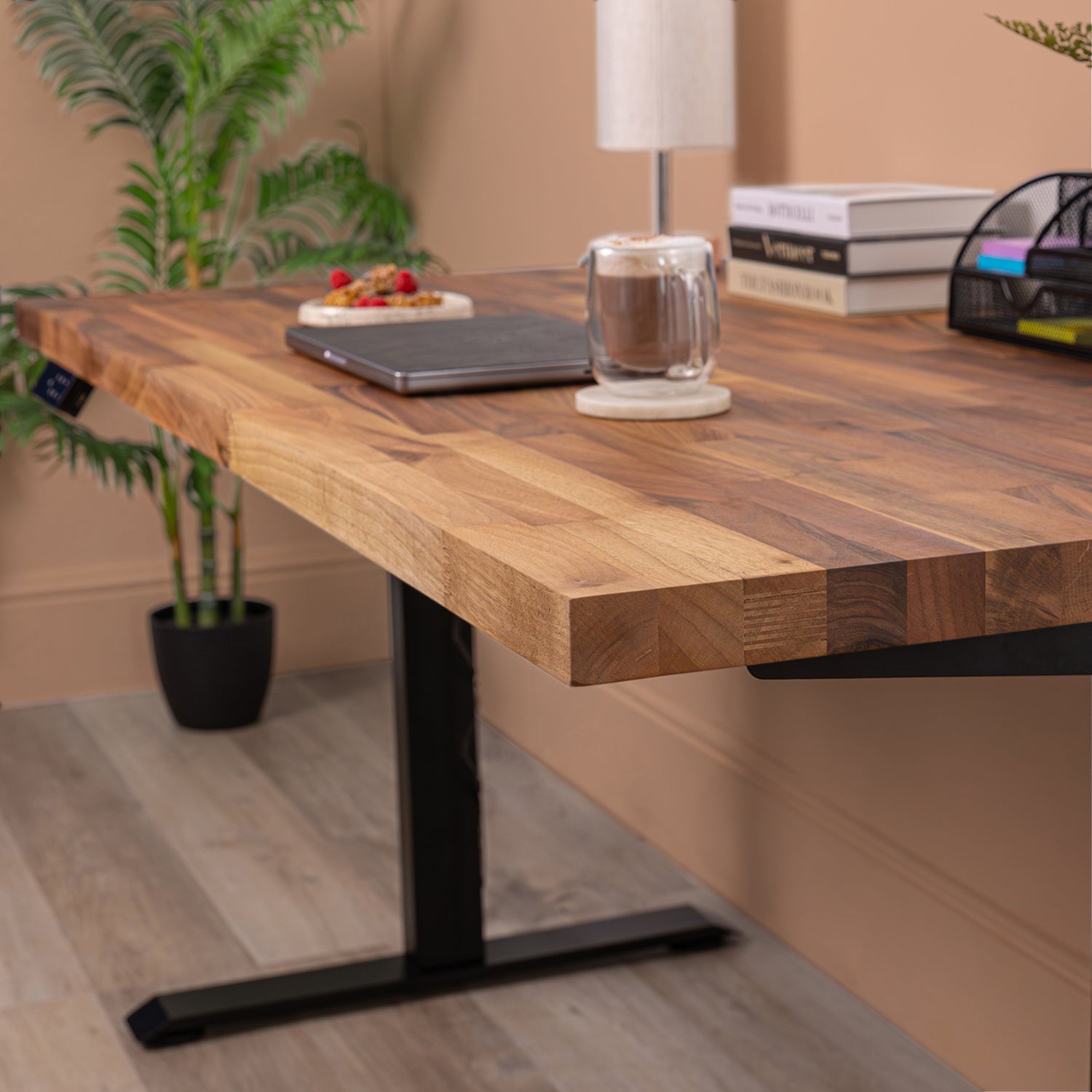 Premium Black Sit Stand Electric Desk with Walnut Wooden Desktop
