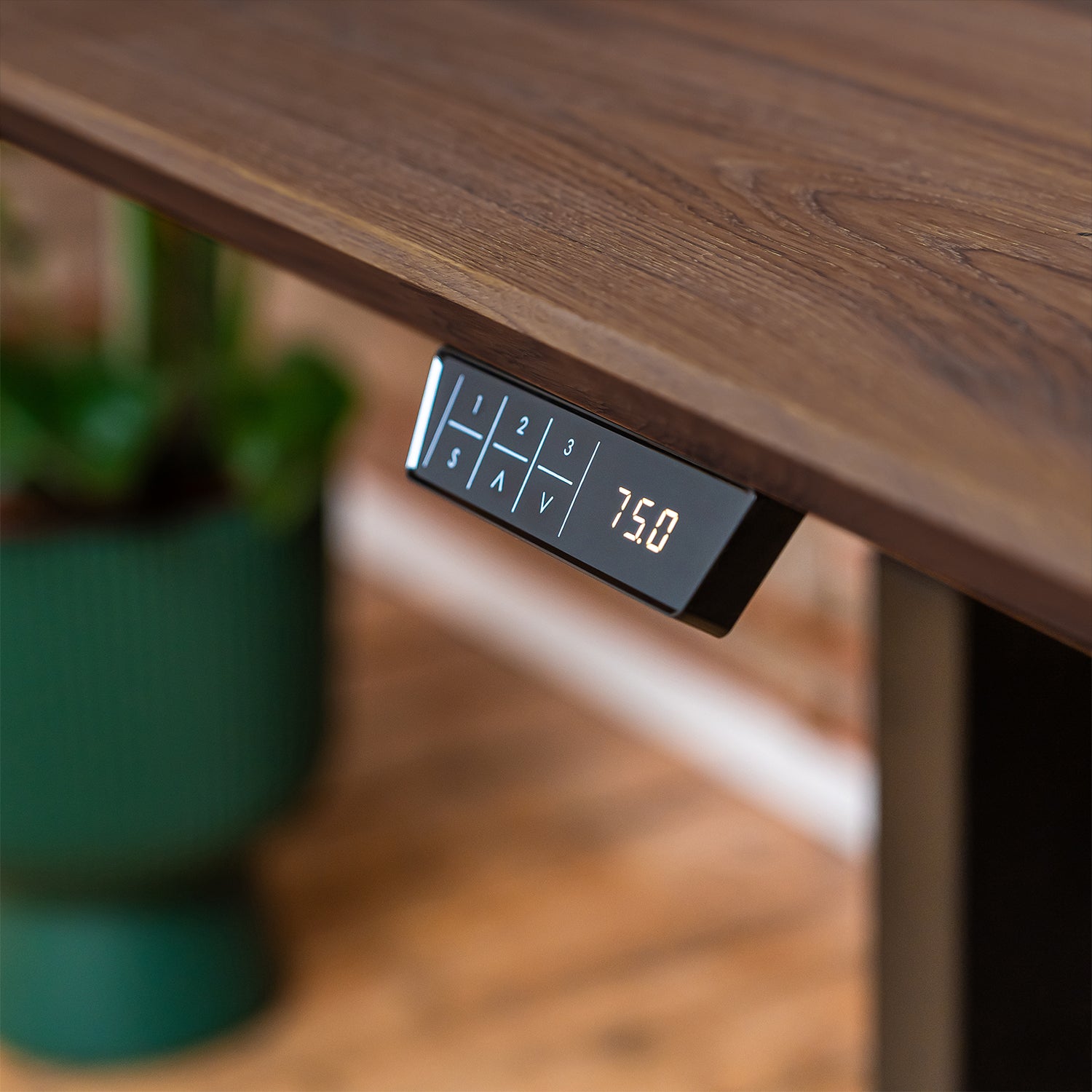 Premium d3 Dual Motor Black Standing Desk with Premium Oak Solid Wood Desktop - Charcoal