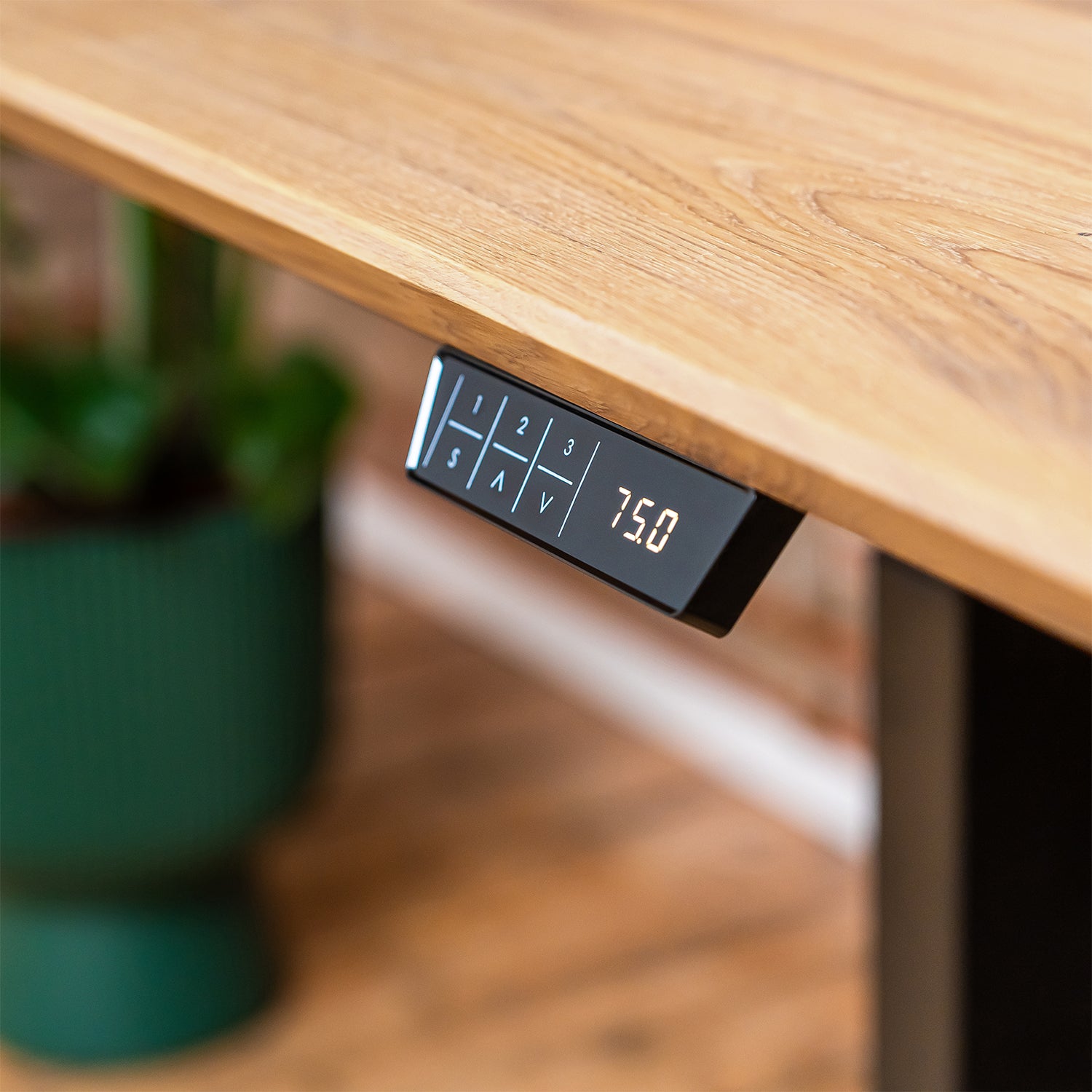 Premium d3 Dual Motor Black Standing Desk with Premium Oak Solid Wood Desktop - Pure