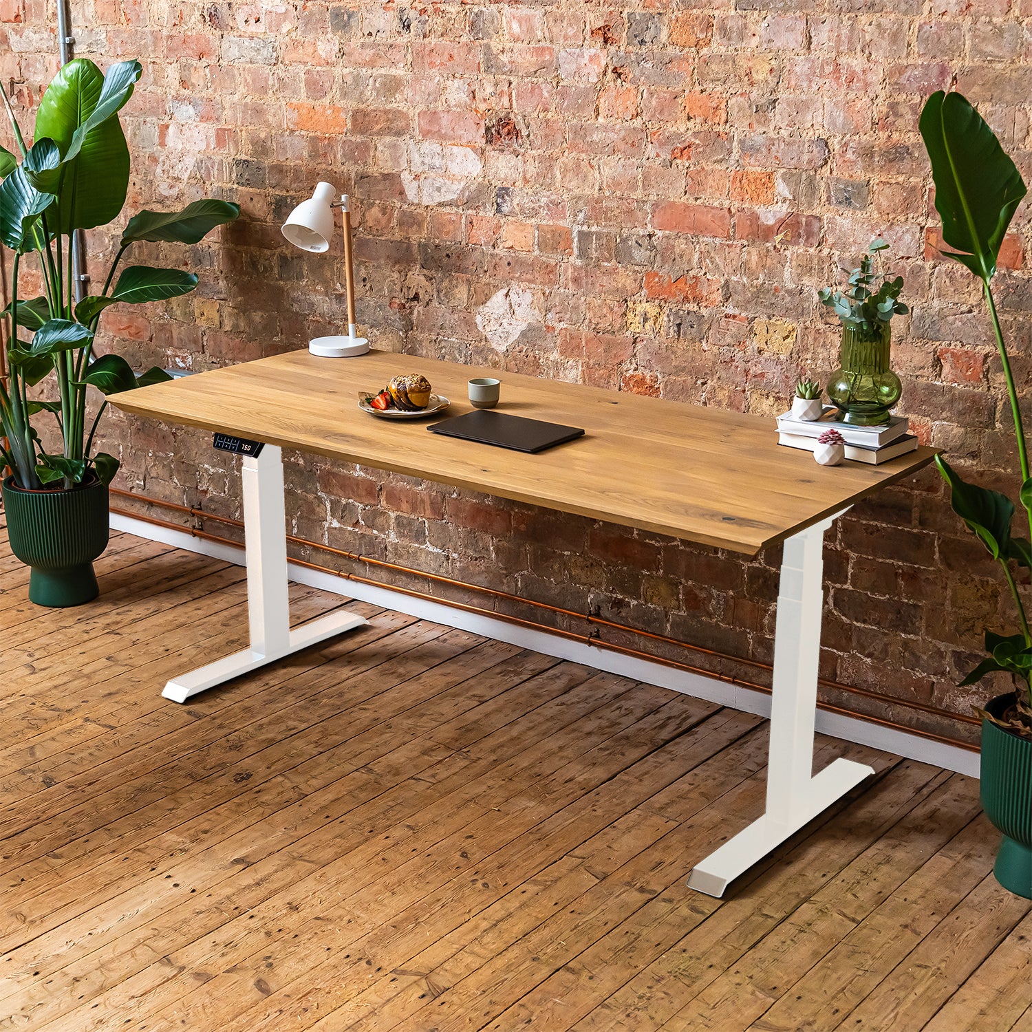 Premium d3 Dual Motor White Standing Desk with Premium Oak Solid Wood Desktop - Pure | 1800mm x 800mm