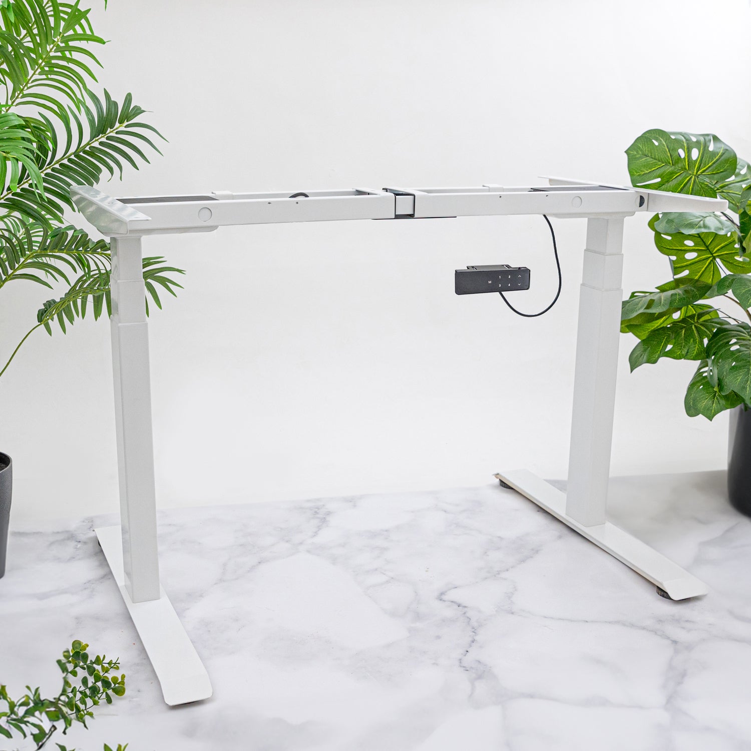 Premium Dual Motor White Standing Desk with Oak Solid Wood Desktop