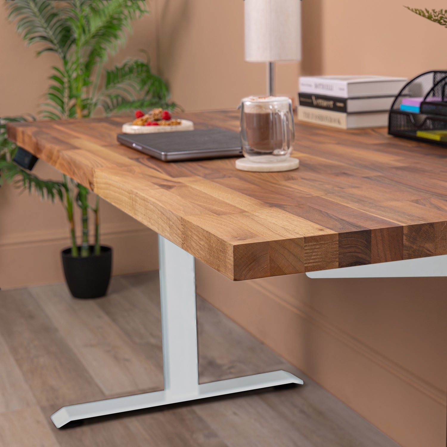 Premium White Sit Stand Electric Desk with Walnut Wooden Desktop
