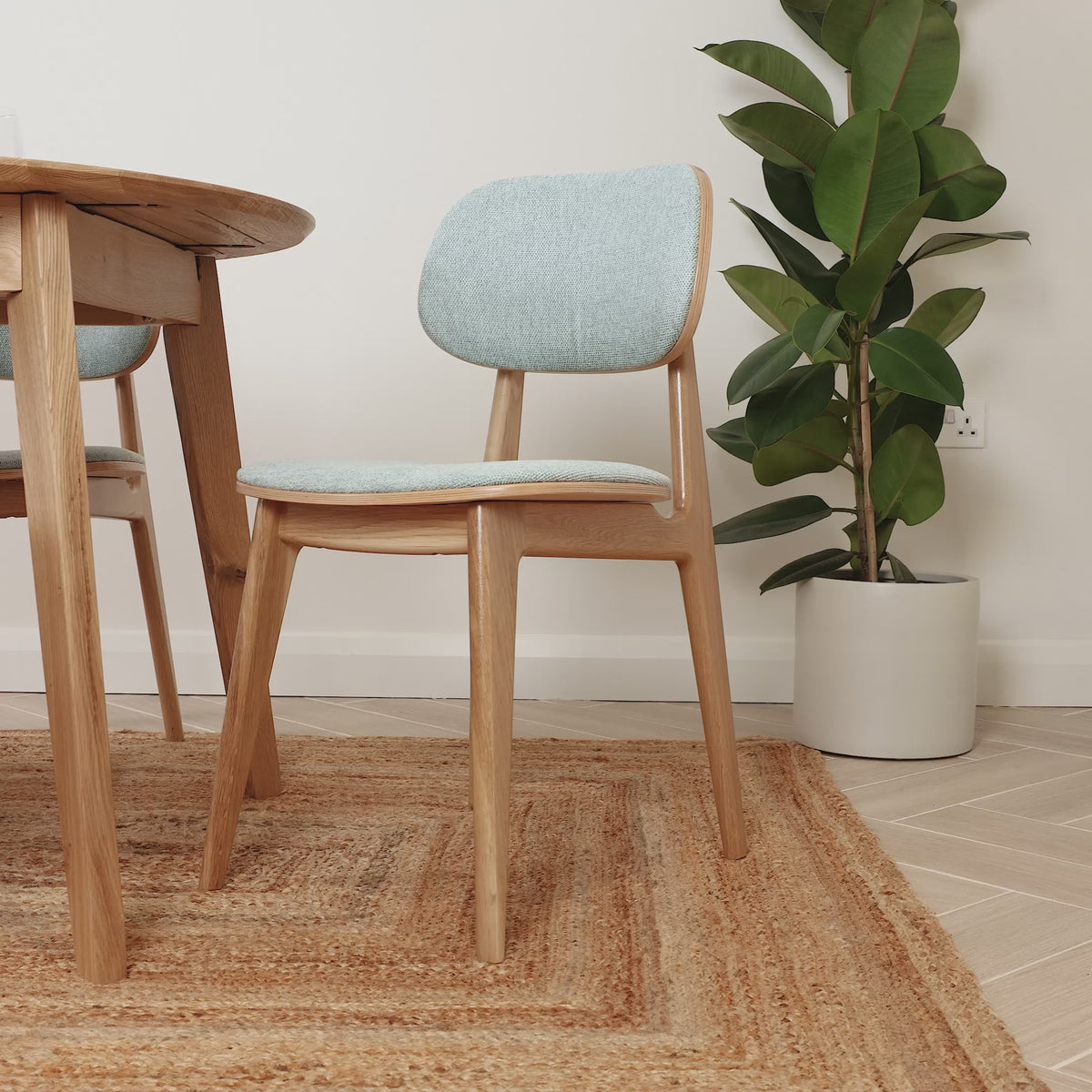 Oak dining chair with a curved backrest and sea green upholstered seat, styled in a room with a potted plant and woven rug.