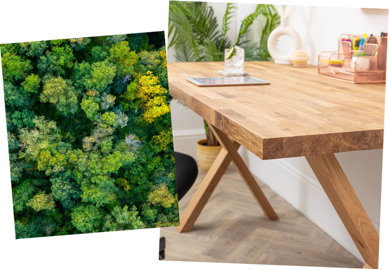 Sustainably sourced solid oak desk with X legs. 